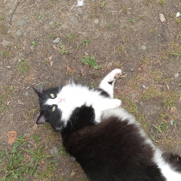 Meet your Posh AMBASSADOR, Karen - Picture 3 of 15